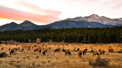 about-usa:Rocky Mountain National Park - Colorado - USA (by Brian