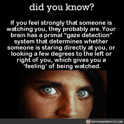 did-you-kno:  If you have a strong feeling that someone is watching