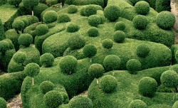 itscolossal:  Surreal Views of the Marqueyssac Topiary Gardens