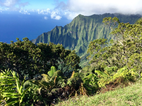 ps1:  Waimea Canyon