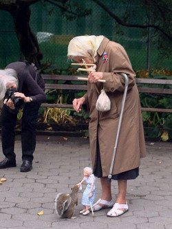 haus-of-ill-repute:  Squirrel being fed by a marionette of an