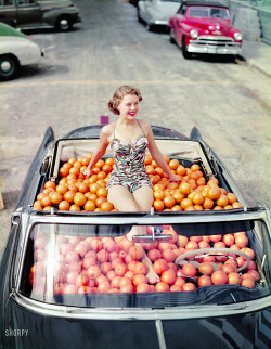 vintagegal:  Swimsuit model in Cadillac convertible filled with