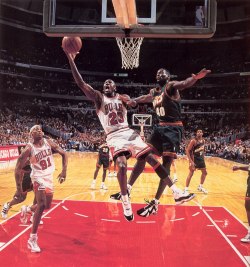 lol @ shawn kemp