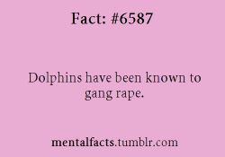 mentalfacts:  Fact#  6587:   Dolphins have been known to gang