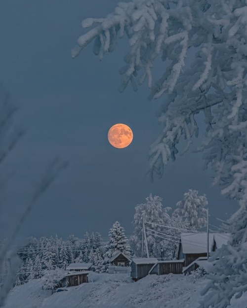 krasna-devica:Arkhangelsk, Russiaby Aleksey Yunicyn