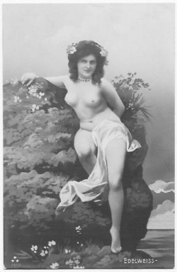 mysweetelizabeth:  Vintage nude art