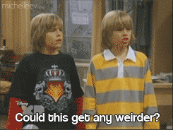 michelleev:  gUYS REMEMBER WHEN ZACK AND CODY WENT TO A PARALLEL