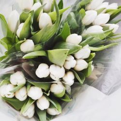 Snow drop tulips to cheer me up as I’m a little bit poorly