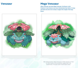 therandominmyhead:  Mega Evolutions for Kanto Starters revealed!