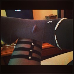 My new #sockdreams shark socks and #noctex skeleton garters.