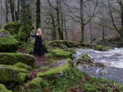 yidneth:My mossy realm. This is a picture from last Sunday. It