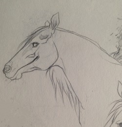 kimblewick:A couple of capaill uisce (kelpie) sketches from a