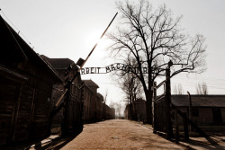 awkwardsituationist:  january 27 is holocaust remembrance day.