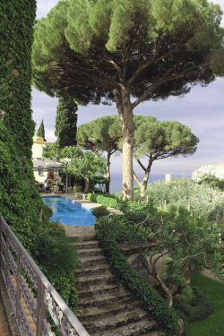 livingpursuit:  Italian Morningside 