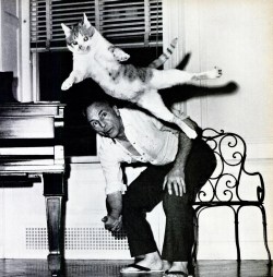 The cat comes on Dancing. Choregrapher George Balanchine has