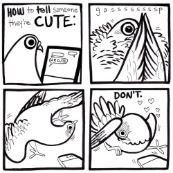 goddessoftheworld:  pigeoncomics:  Pigeon Comics 64 - U R Cute