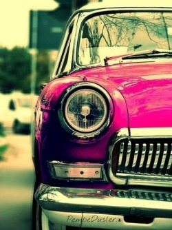 Amapola's Dream