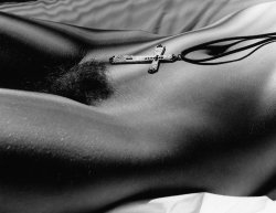 baudyadventurer:  fur—affinity:  Cross by ~AR-Graphics  www.mysecretlife.org