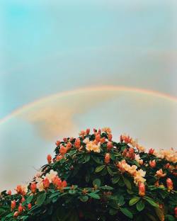 floralls:  by arielle vey  