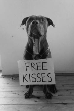 instructor144:Who can say no to free kisses? Nobody, that’s