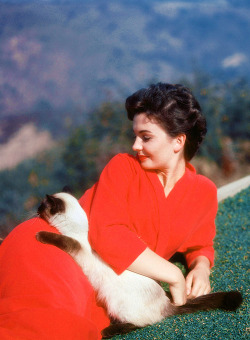  Jean Simmons, 1954 