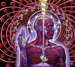 goostor:  Dissectional Art for Tool’s Lateralus CD by Alex