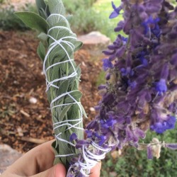 stargazuer:bundled some lovely sage and lavender from my garden