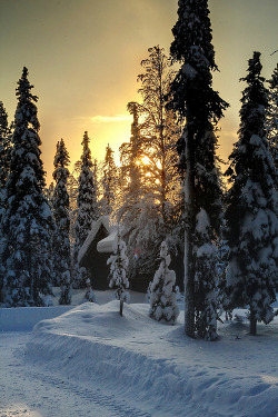 bluepueblo:  Sunset, Lapland, Finland photo via corners 