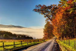 Misty autumn morn