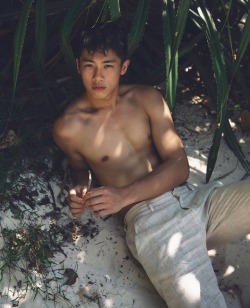 asian-men-x: