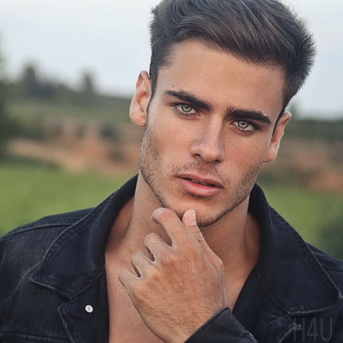 Male Perfection
