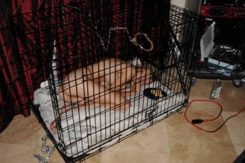 Master must care for this girl; her cage is too lavish for a mere slave.