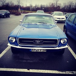 pleipzig:  #ford #mustang #parkplatz #blue #car #carporn #instagood