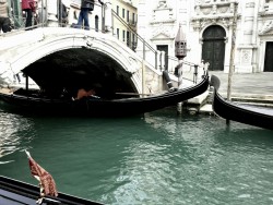 Descanso en Venecia. …..