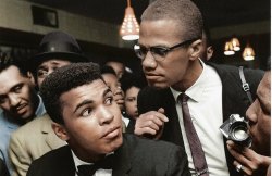 augustfanon:  Malcolm X kidding around with Muhammad Ali.  New