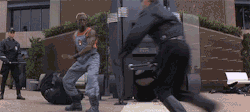The Ronin Diary