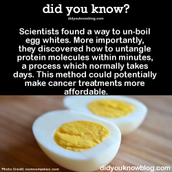 did-you-kno:  Scientists found a way to un-boil egg whites. More