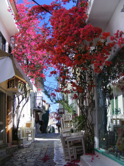 Skiathos, Greece  | by Hythe Eye | via santoriniblog