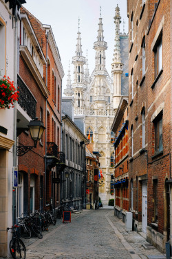 wanderlusteurope:    Leuven, Belgium   