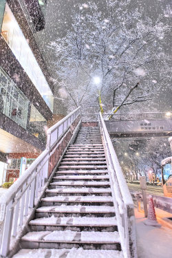 kvnai:    Snow on the streets of Harajuku and Omotesando, Tokyo