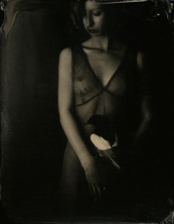 isamarcelli:  © Isa Marcelli 