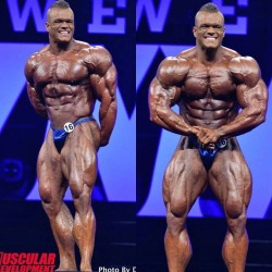 dalthorn:   Dallas McCarver - At the 2015 Olympia for his first