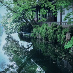 fuckyeahchinesegarden:Chinese garden by 张大水.