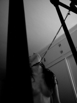 mrdamesjeen:  Collared and leashed tothe bed post. No where to