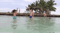 savedbythebelami:  BelAmi: Colombian Tapas