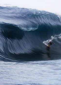 highenoughtoseethesea:  An unknown charger about to get a little