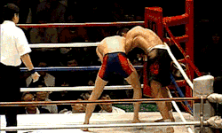 buddhabrand:  Shinya Aoki breaks Keith Wisniewski’s arm (Shooto,