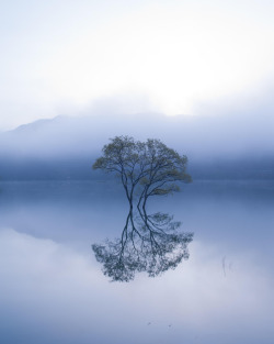 drxgonfly:  Lonely tree (by Teruo Araya)