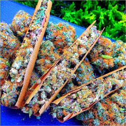 alwaysgoinghaf:  Forever smoking blunts of the finest