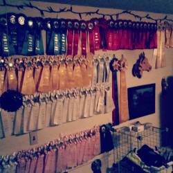 Had to add yet another row to my ribbon wall!🏆After last weekends
